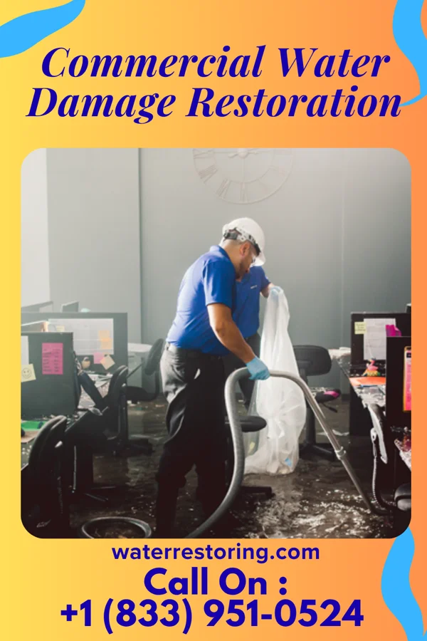 Commercial Water Damage Restoration in Palmyra, IN