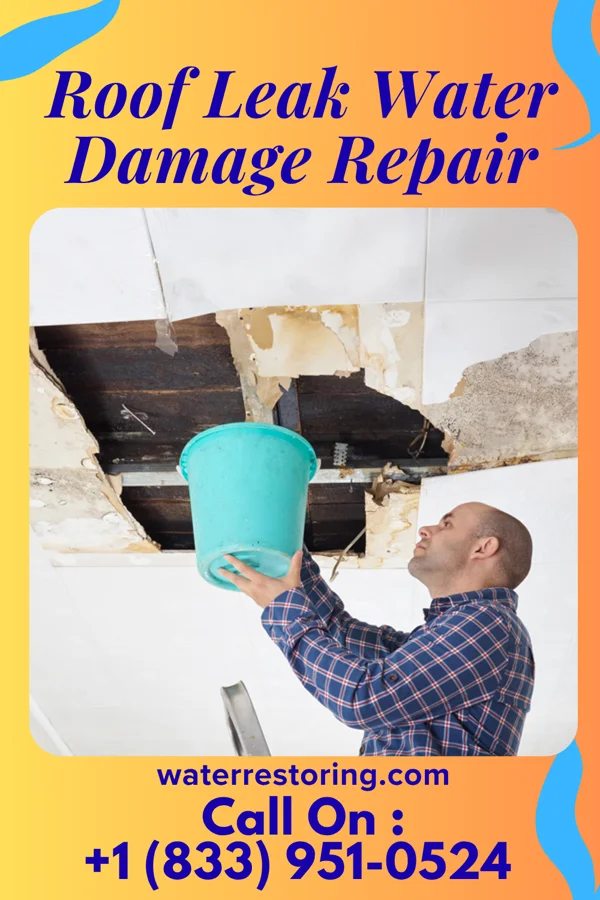 Roof Leak Water Damage Repair in Palmyra, IN