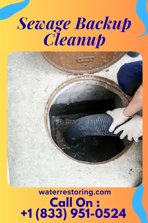 Sewage Backup Cleanup in Palmyra, IN